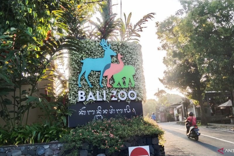 Libur Panjang, Kunjungan Wisatawan di Kebun Binatang Bali Melonjak 100 Persen