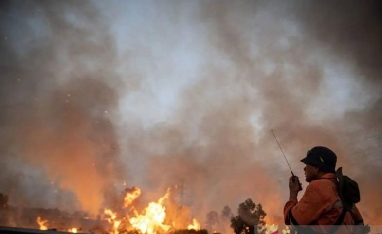 KLH Bakal Sanksi Perusahaan yang Lalai Cegah Karhutla