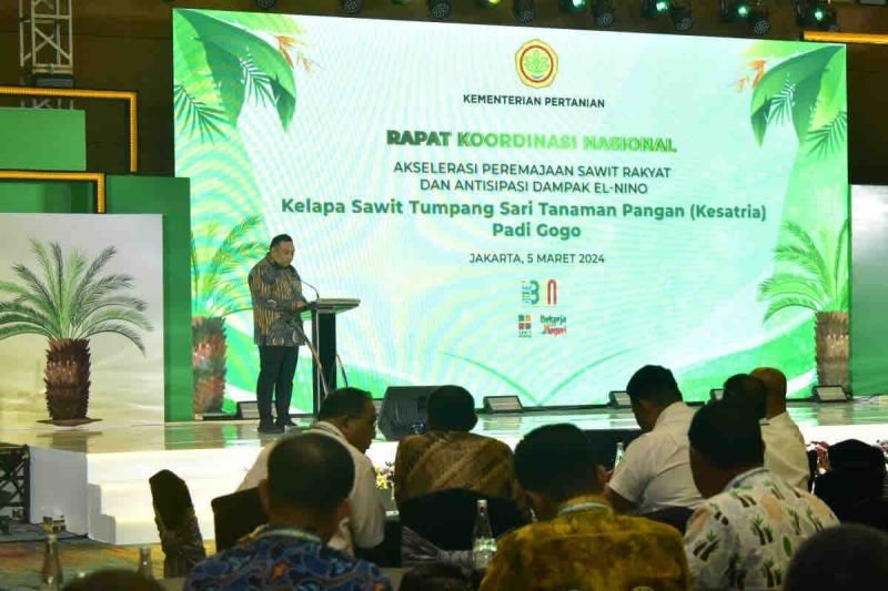 Papua Masa Depan, Kementan: Pulau Energi Terbarukan