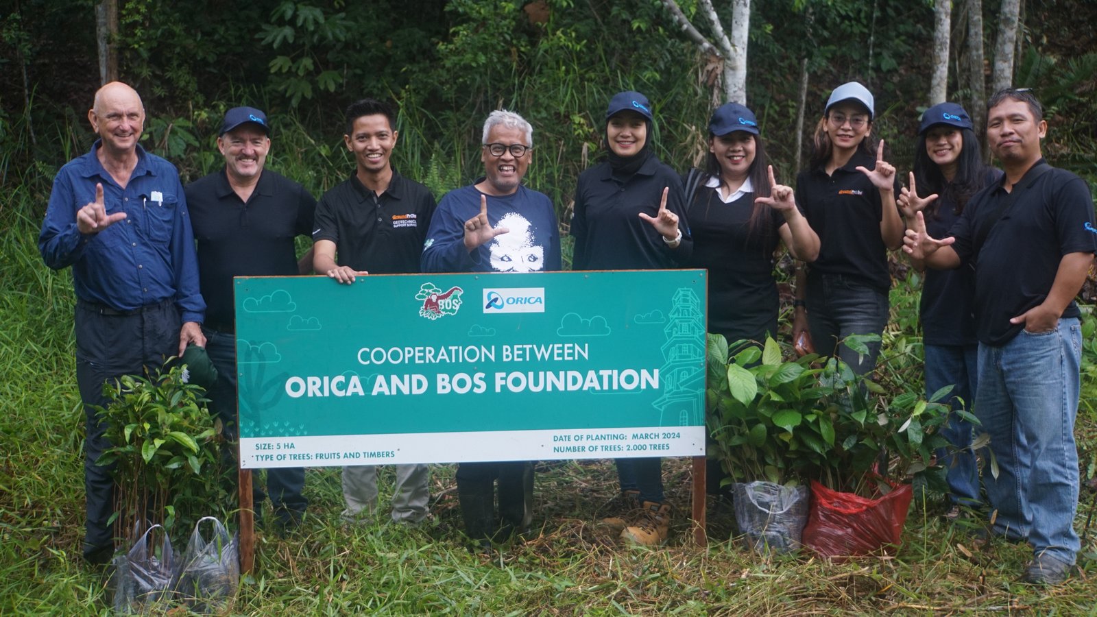 Orica Gandeng Borneo Orangutan Survival Lestarikan Habitat Orangutan