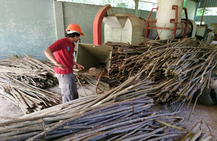 Dalih Transisi Energi, Deforestasi Kian Marak di Gorontalo