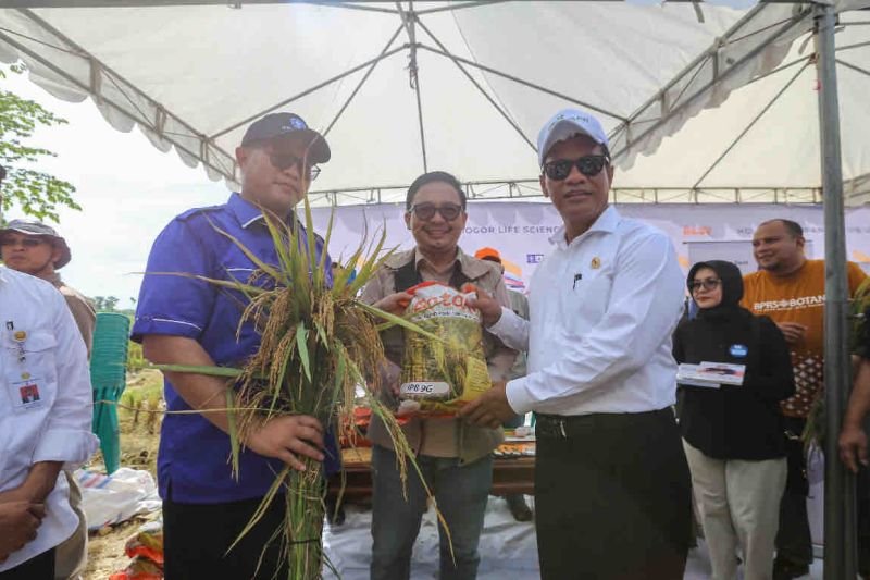 Wujudkan Swasembada Pangan, Mentan Siap Kembangkan Padi IPB 9G