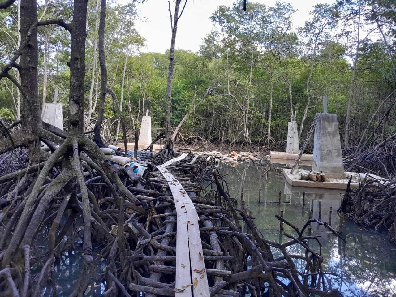 Sikap Menteri Sandi soal Teluk Balikpapan Diapresiasi FPTB