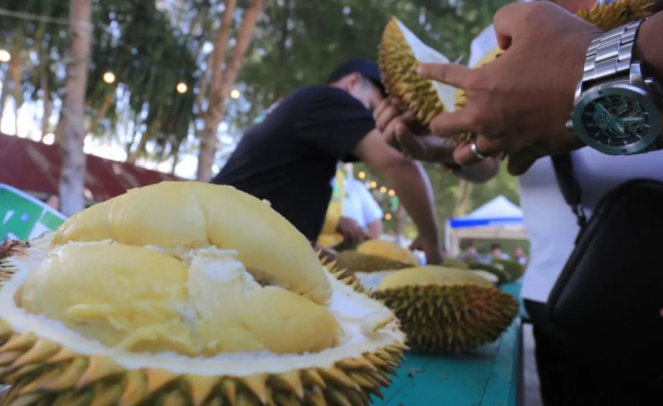 Proyeksi Permintaan Durian Indonesia ke China Capai 8 Miliar USD