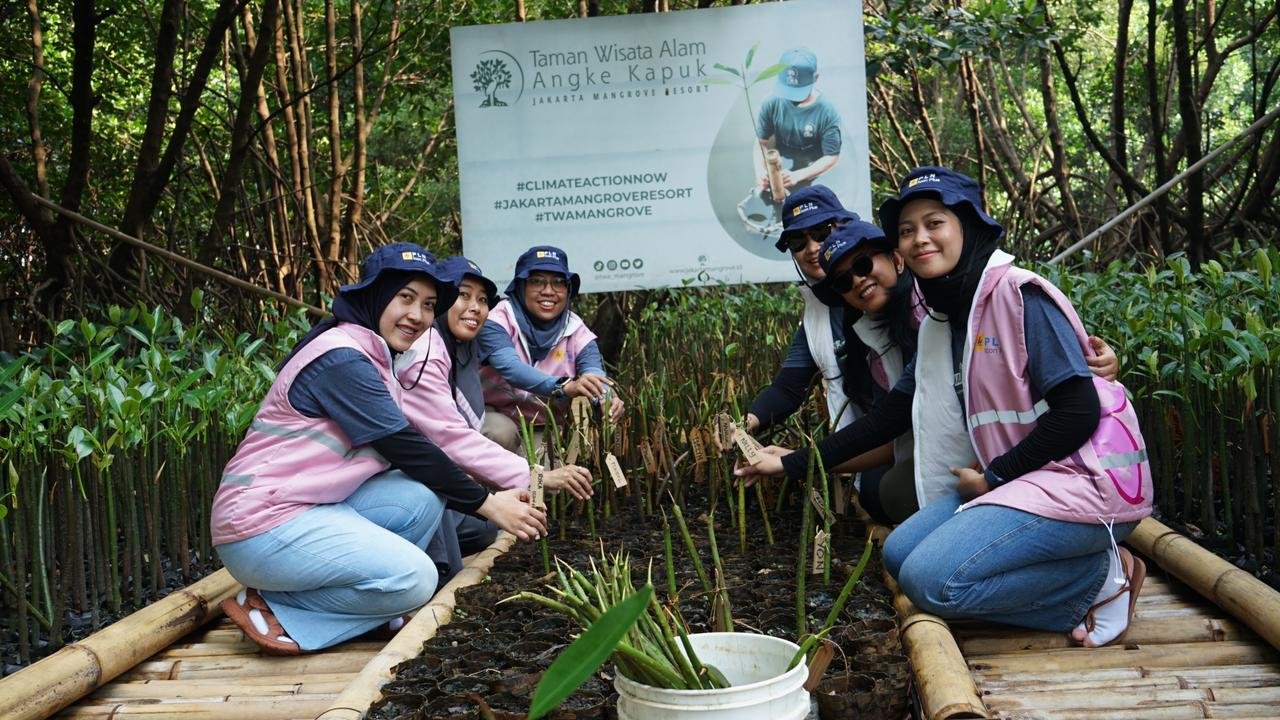 Pelestarian Lingkungan, PLN Icon Plus Tanam 200 Mangrove di Jakarta