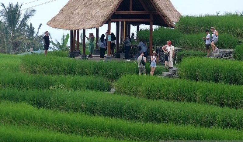 World Water Forum, KLHK Paparkan Peran Hutan Penyangga Kehidupan