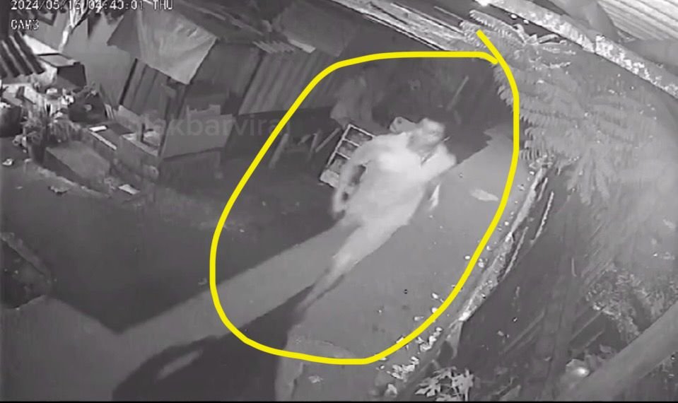 Imam Musala Tewas Ditusuk OTK di Kebun Jeruk, Polisi: Ditikam dari Belakang