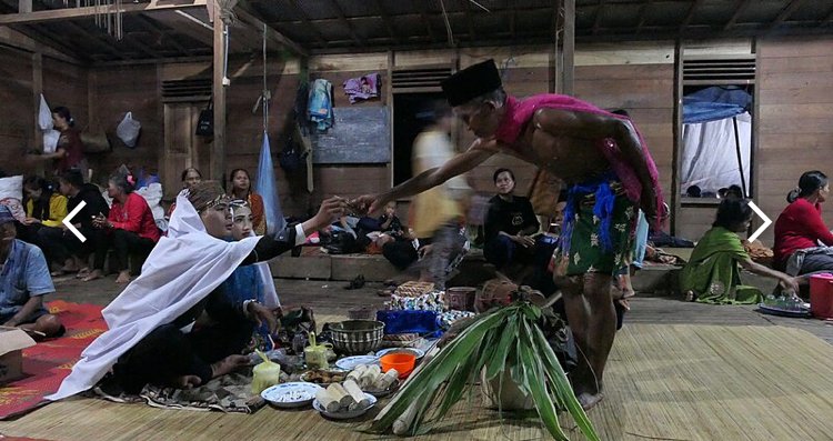 Jauh Harapan Hutan Adat Kalsel