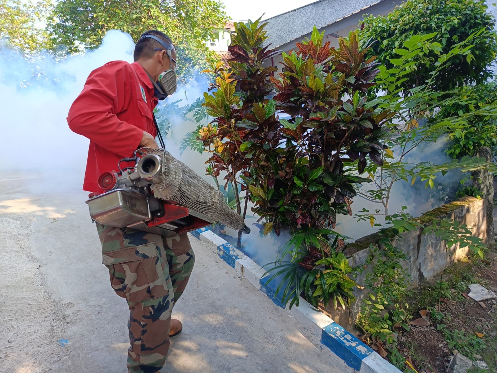 DBD Melonjak di Cianjur, 10 Orang Meninggal Dunia