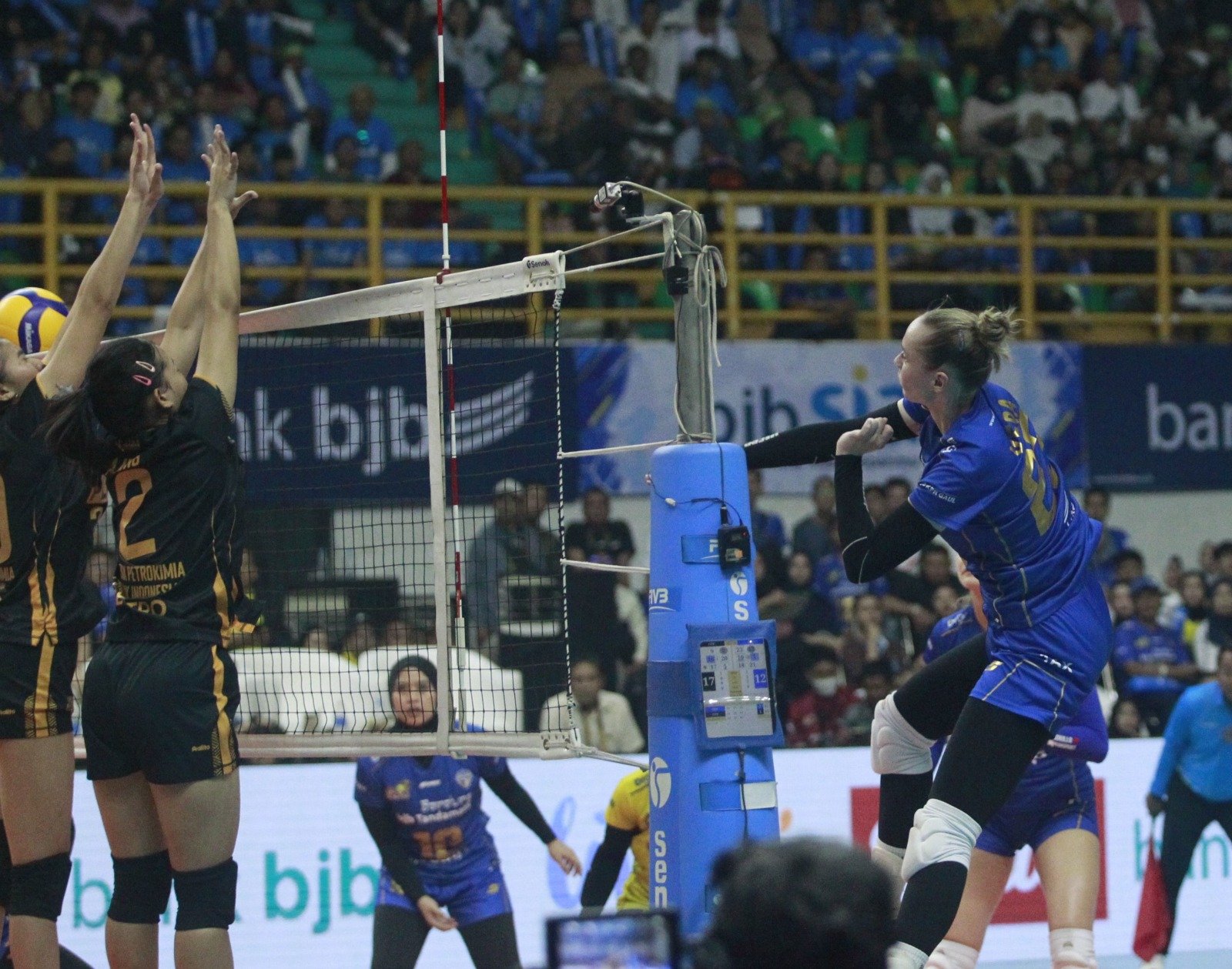 BJB Tandamata Sapu Bersih Seri Bandung Proliga 2024 