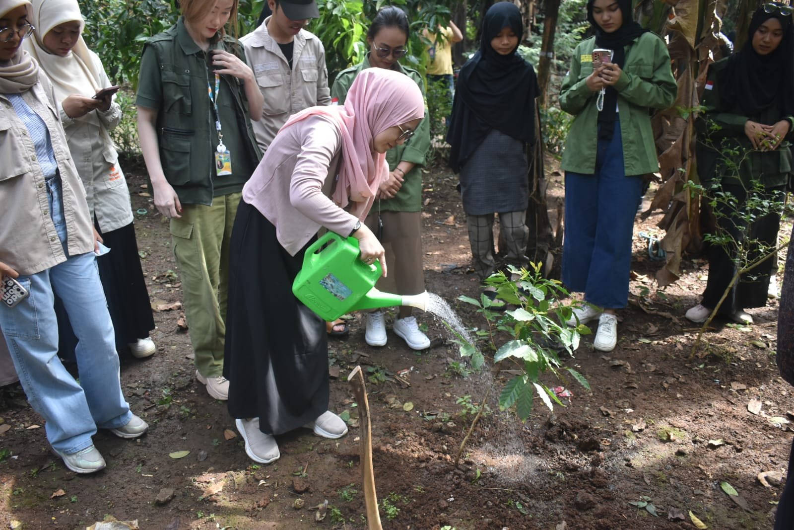 Hari Lingkungan Hidup Sedunia, KFLHK Tanam Pohon Serentak di 18 Provinsi