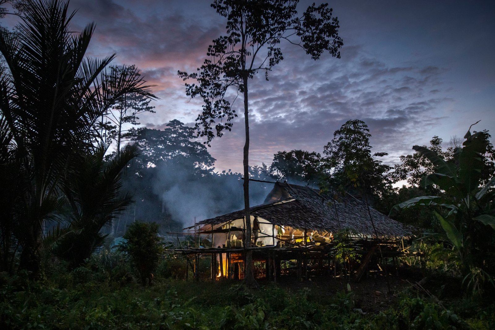 Pemandangan rumah di hutan adat Gelek Malak Kalawilis Pasa di Distrik Sayosa, Kabupaten Sorong, Papua Barat Daya.
Foto: Ulet Ifansati