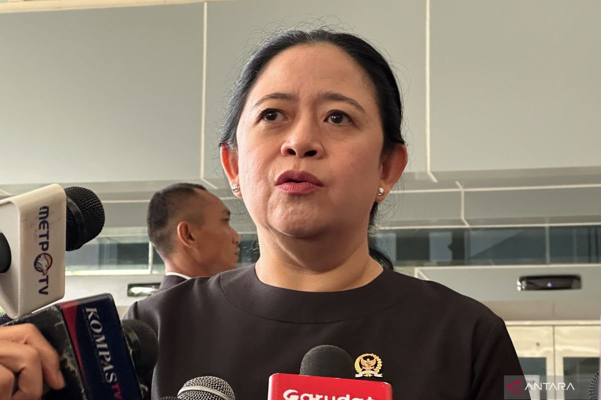 Ketua DPR RI Puan Maharani. Foto: antara