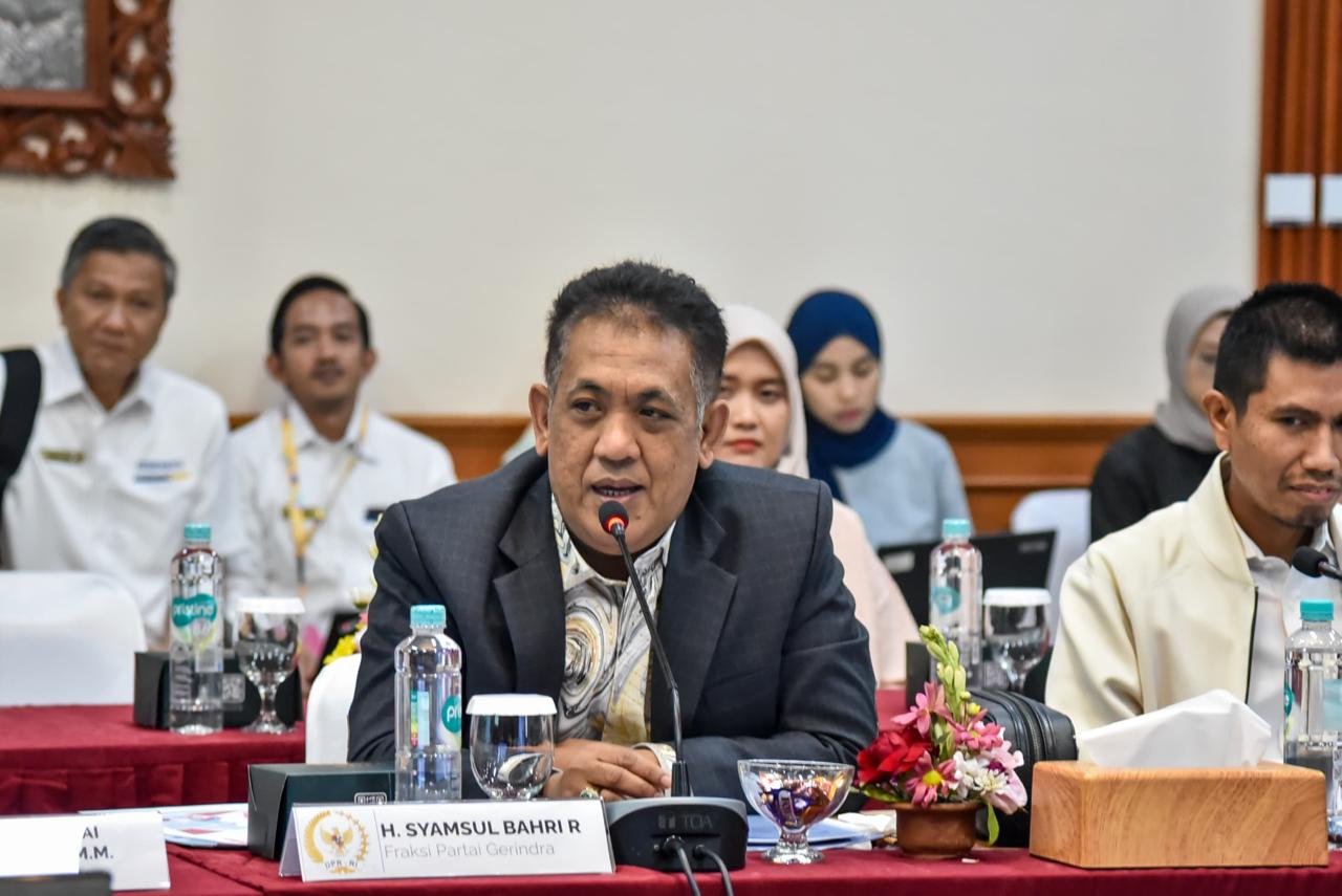 Bappenas Diminta Prioritaskan Proyek Kalsel, SBR: Penerimaan Pajak Kita Surplus!