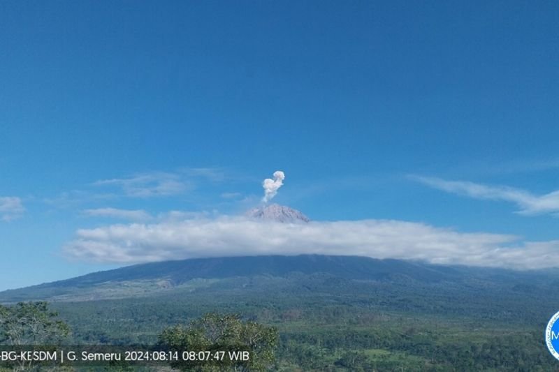 Semeru Erupsi Beberapa Kali, Tinggi Letusan 800 Meter