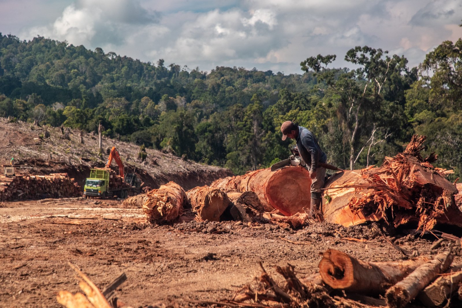 Hutan Gorontalo Terancam Deforestasi di Tengah Proyek Transisi Energi