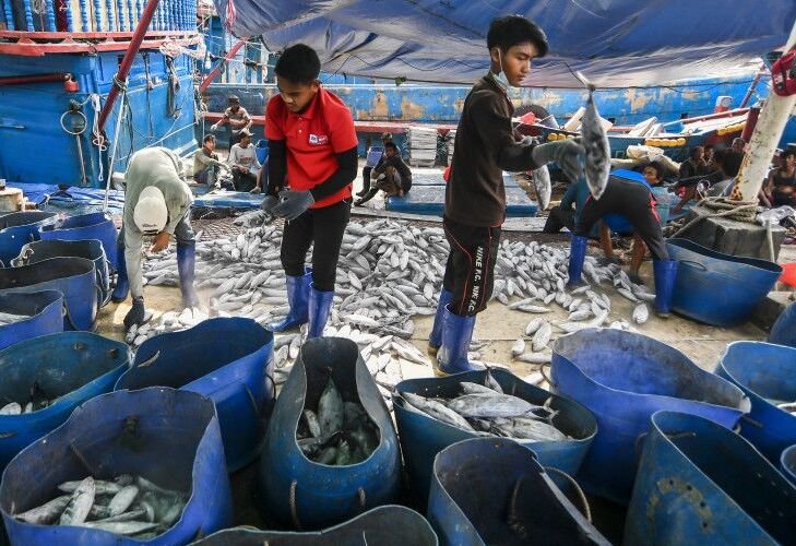 Miris! Banyak Awak Kapal Ikan Belum Dapat Jamsos