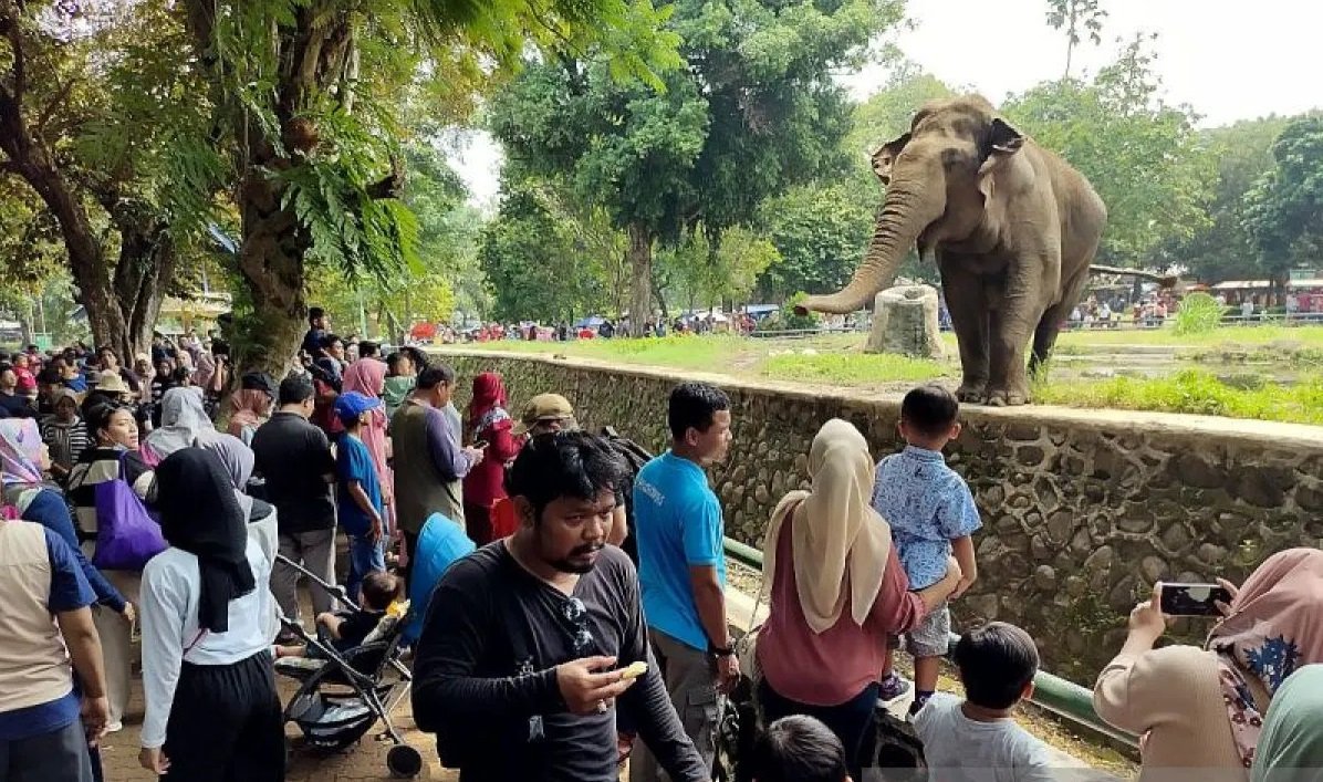 Margasatwa Ragunan Prediksi Puluhan Ribu Pengunjung di Libur Nataru