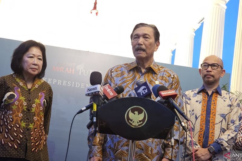 Ketua Dewan Ekonomi Nasional Luhut Binsar Pandjaitan memberikan keterangan pers di Istana Kepresidenan Jakarta. Foto: Antara