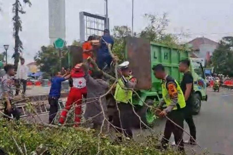 Tragedi Idulfitri di Pemalang: Dua Jemaah Meninggal Tertimpa Pohon Tumbang