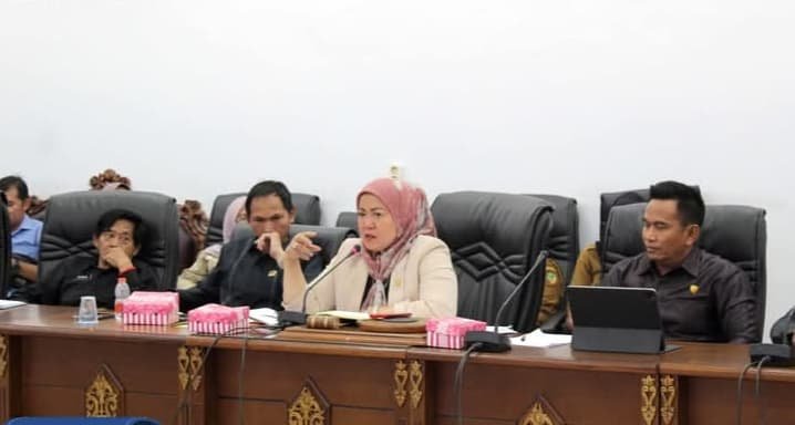 Upayakan Solusi Terbaik Nasib Tenaga Honorer, DPRD Barut Gelar RDP Pj Sekda Jufriansyah