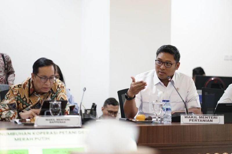 Kementan Optimalkan Serapan Beras untuk Hentikan Impor