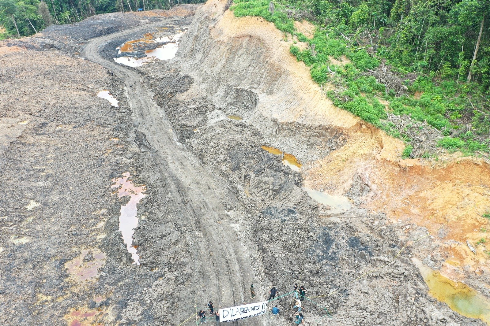 Hutan Unmul Dibabat, Penambang Pernah Kirim Surat!