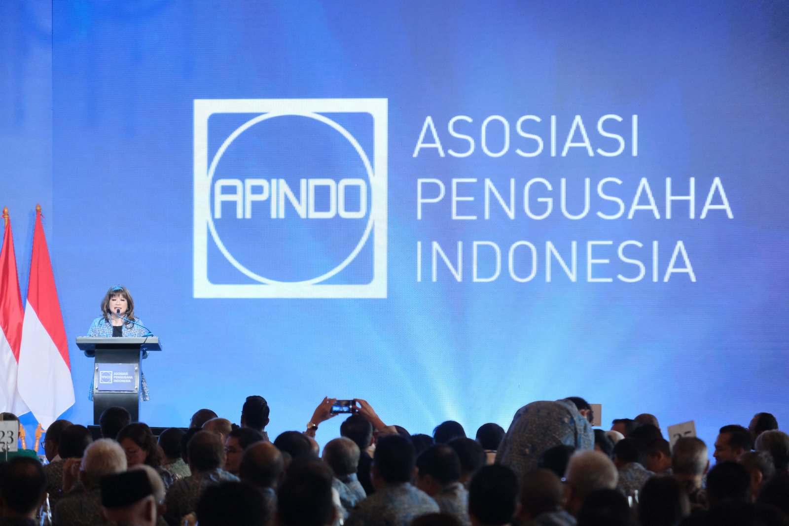 Asa Apindo di Tengah Penghapusan Kuota Impor: Izin Dipermudah