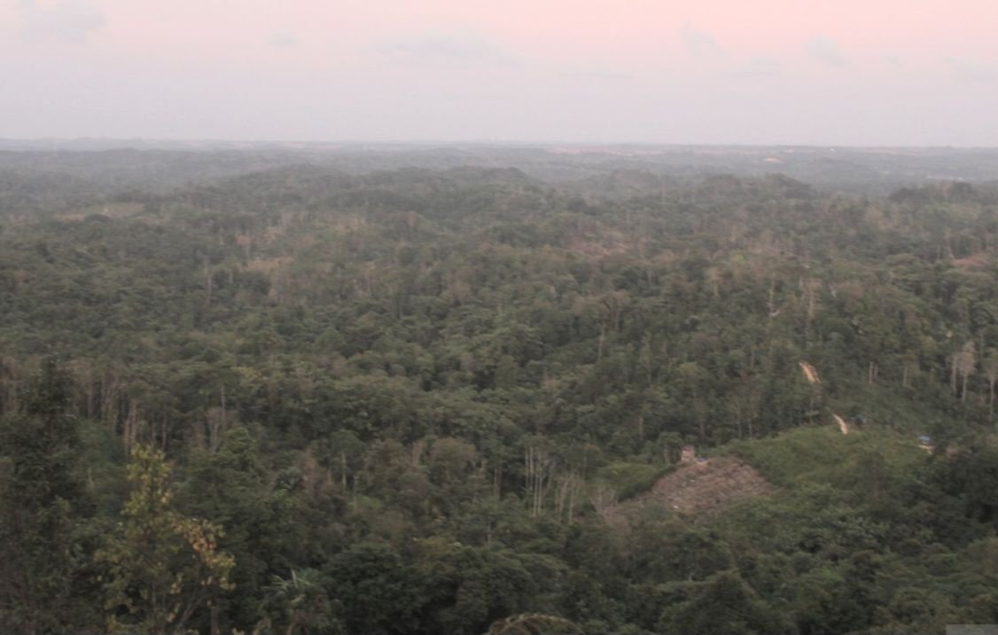Sejarah Orang Balik, Identitas yang Tersembunyi di balik Sepaku IKN