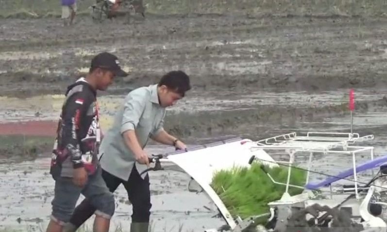Wapres Gibran Tanam Padi di Ngawi, Dorong Swasembada Pangan Nasional