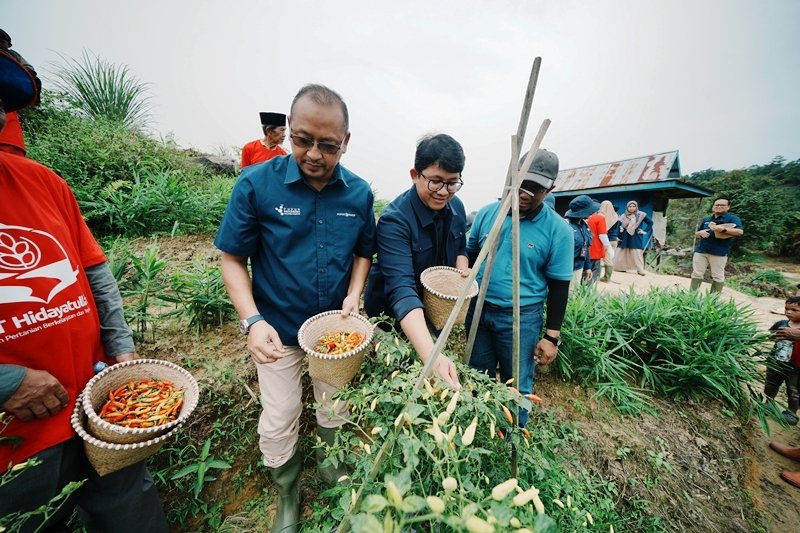 Pupuk Kaltim Hadirkan Smart Green House, Panen Melon hingga Cabai