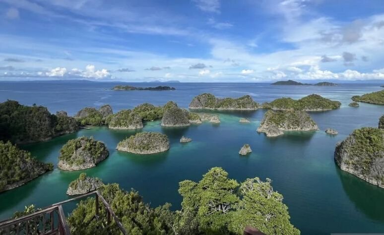 Aspebindo Dukung Pencabutan 4 IUP Tambang Nikel di Raja Ampat