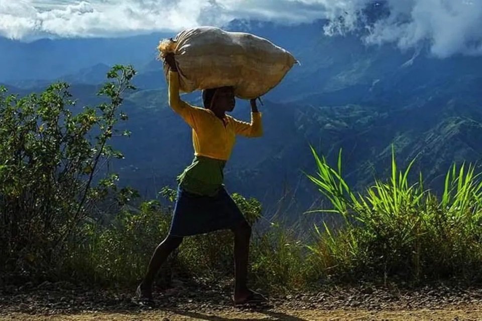 Pekerja Anak Masih jadi Masalah Serius Meski Ada Kemajuan