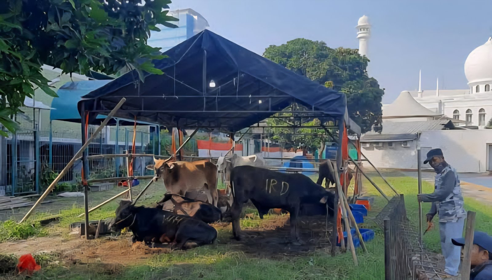 Yuk, Jadikan Idul Adha Ajang Kepedulian dan Pengorbanan untuk Sesama